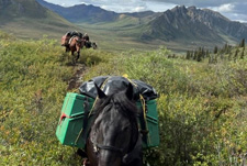Canada-Yukon-Ogilvie Pack Trip